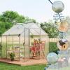 6 x 10 ft Greenhouse, Greenhouses for Outside, Polycarbonate Greenhouse with Aluminum Frame, Lockable Door and Ajustable Roof Vent for Backyard, Green Houses for Outside Garden Backyard, Patio(Silver)