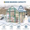 6 x 10 ft Greenhouse, Greenhouses for Outside, Polycarbonate Greenhouse with Aluminum Frame, Lockable Door and Ajustable Roof Vent for Backyard, Green Houses for Outside Garden Backyard, Patio(Green)