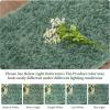 Garvee 8×10 Shag Rug for Living Room Fluffy Rug Non-Slip Modern Solid Color Bedroom Throw Carpet Ultra Soft Nursery Rug Plush Fuzzy Faux Fur Area Rug for Home Decor Bedside Girls Boys, Mint