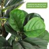 Garvee Artificial Fiddle Leaf Fig Tree with White Planter, Fake Plant with Natural Wood Trunk, Faux Ficus Tree Fake Moss for Home Office Living Room Decor(Set of 1)