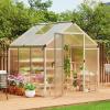 6 x 10 ft Greenhouse, Greenhouses for Outside, Polycarbonate Greenhouse with Aluminum Frame, Lockable Door and Ajustable Roof Vent for Backyard, Green Houses for Outside Garden Backyard, Patio(Silver)
