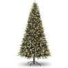 6.5 FT Pre-Lit Pencil Christmas Tree – 300 Warm White Lights, Auto-Hinged Expansion, Foldable Metal Stand, PE & PVC Construction – for Porch, Party, Office, and Home Decor(Classic Green-ⅱ)