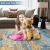 Garvee Washable 4×6 Area Rug for Bedroom Low Pile Living Room Carpet Mat Non Shedding Modern Braided Print (Not Woven) Small Carpet for Bedside Kitchen Entryway Kids Room Office College Dorm, Beige(Abstract | Gold Blue)