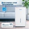 Garvee 22 Pint Dehumidifier for up to 1500 Sq.Ft, Energy Star Certified with Reusable Washable Filter, Ideal for Basements, Medium-Large Rooms, Bathrooms, White(50 Pints – 5500 Sq.Ft)