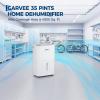 Garvee 22 Pint Dehumidifier for up to 1500 Sq.Ft, Energy Star Certified with Reusable Washable Filter, Ideal for Basements, Medium-Large Rooms, Bathrooms, White(35 Pints – 4500 Sq.Ft)