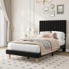 Garvee Twin Size Velvet Bed Frame, Vertical Channel Tufted Headboard, Height Adjustable, Upholstered Platform Bed, No Box Spring Needed, Beige(Black)
