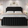 King Size Velvet Bed Frame, Vertical Channel Tufted 50.2 in Tall Headboard and Footboard with Nailhead Trim, Upholstered Platform Bed, Strong Wooden Slats, No Box Spring Needed, Easy Assembly, Grey(Black)