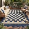 Garvee Easy Jute Rug 4×6 Outdoor Patio Rug, Washable Indoor Kitchen Rugs Non Slip Low Pile Stain Resistant Farmhouse Neutral Striped Area Rug for Entrance Living Room Backyard Bedroom 4’x6′(Checkered|navy)
